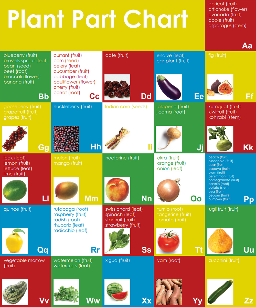 Plant Part Chart