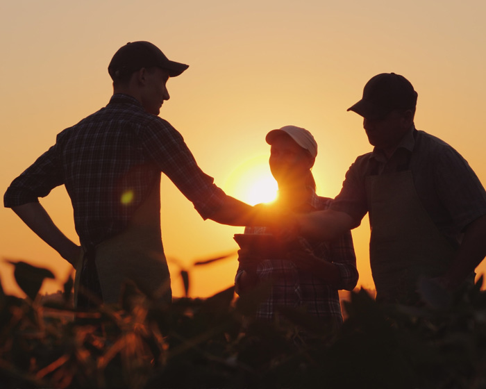 three farmers in the farm with sunset background